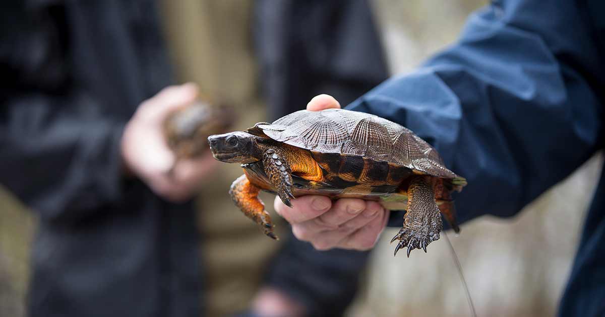 Master of Applied Ecology Accelerated Dual Degree | Juniata College