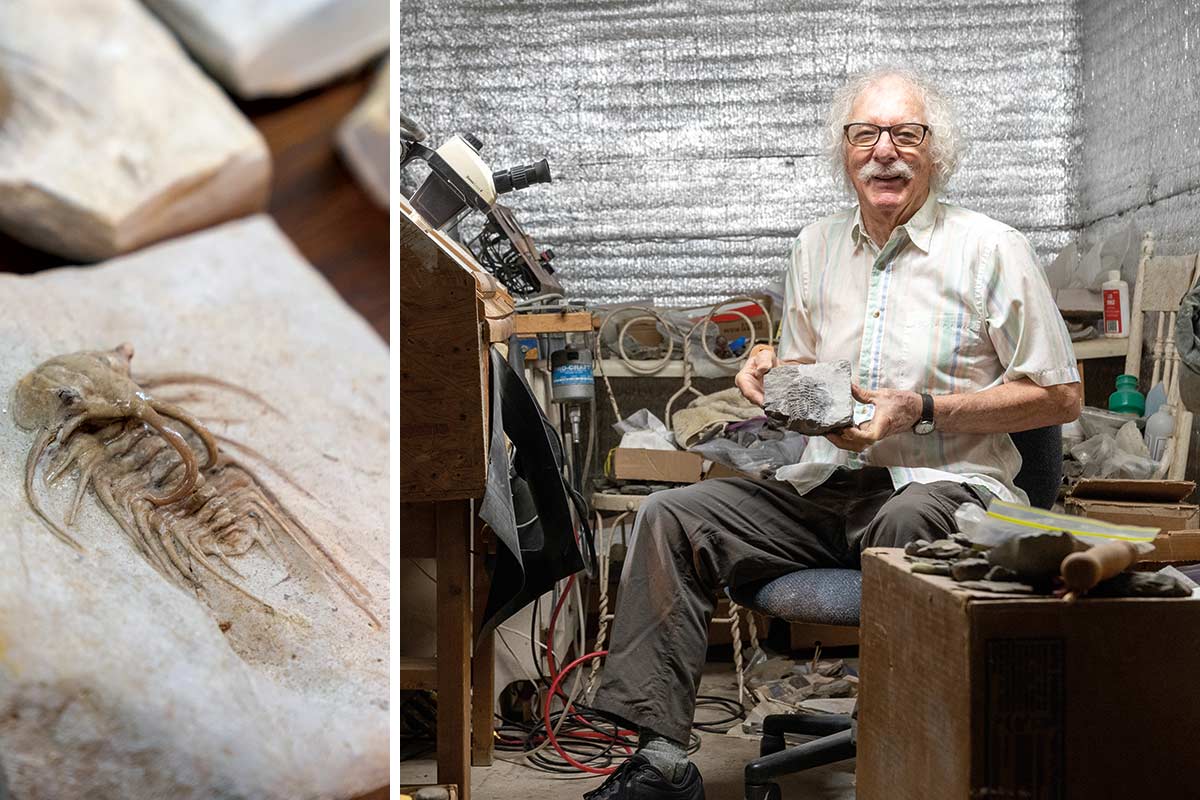 fossil collection environmental portrait