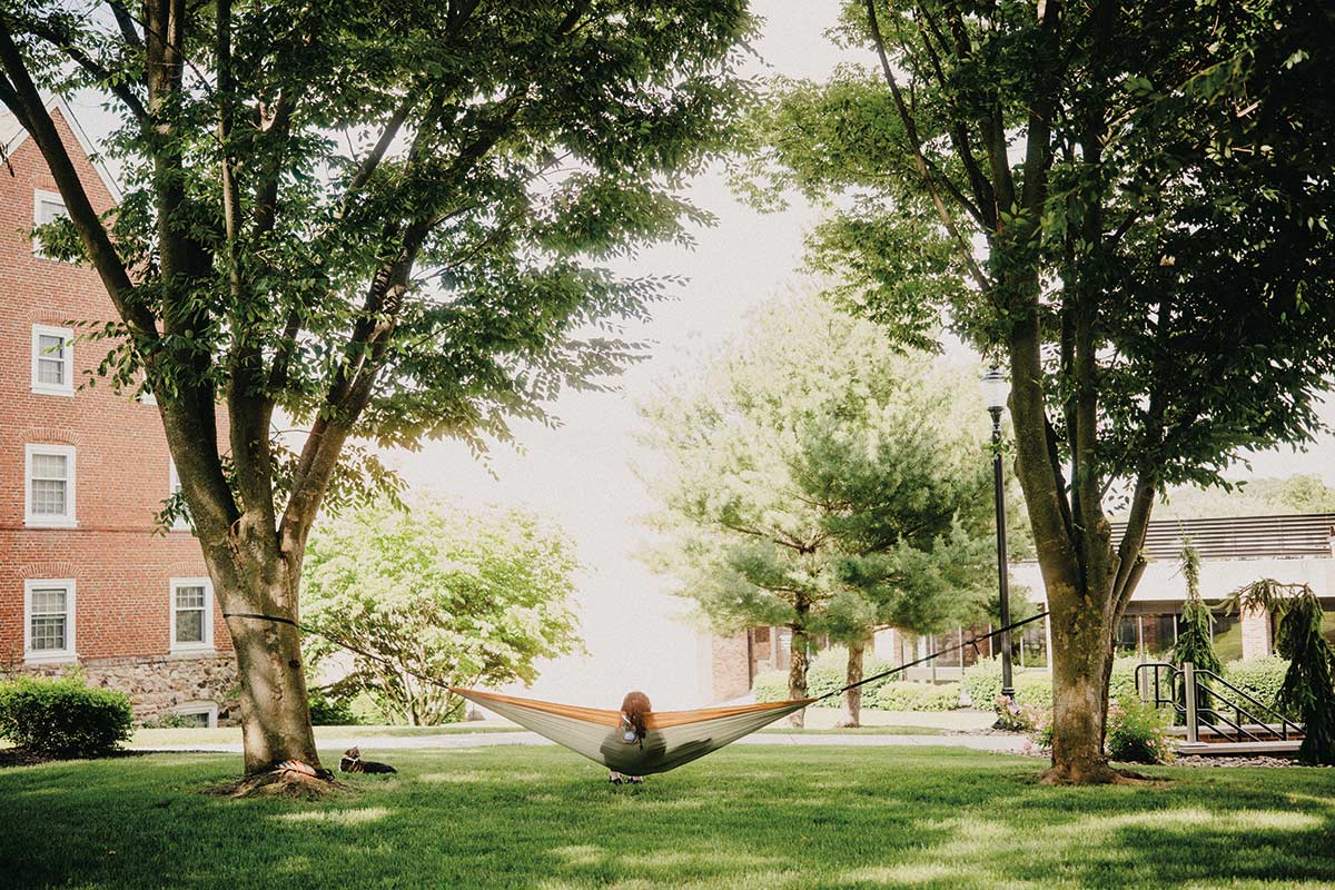 photo of person in a hammock on the campus quad